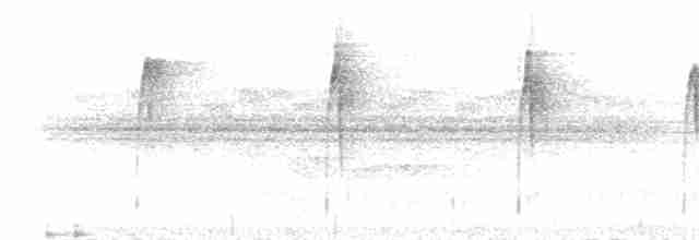 rustpannetornfugl (rufifrons gr.) - ML217486
