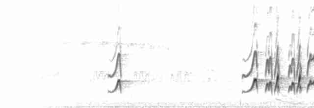 Boz Alınlı Sinekkapan (tyrannulus/bahiae) - ML217490