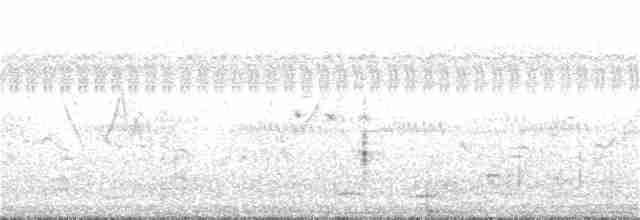 Кратеропа довгохвоста - ML217521861