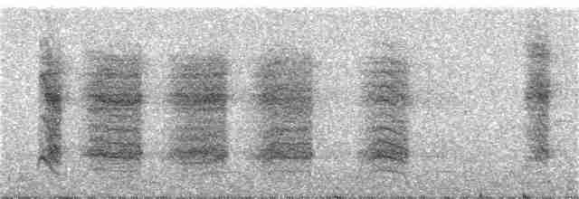 Troglodyte fascié - ML217548501