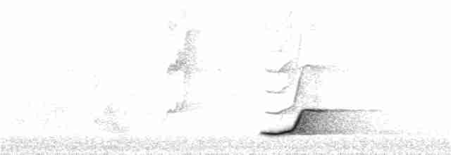 Pale-browed Tinamou - ML217553541