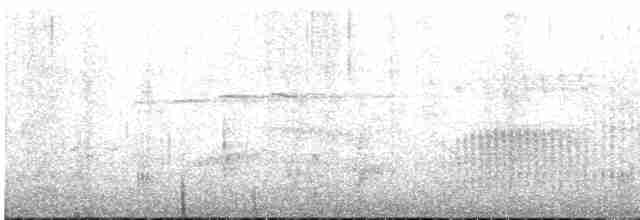 Red-tailed Laughingthrush - ML217557691