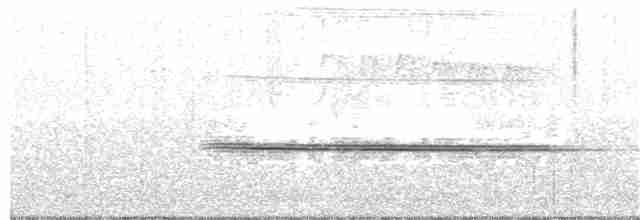 Turuncu Ardıç - ML217557971