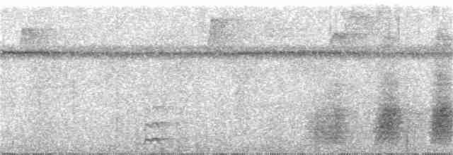 Purpurbrustkotinga - ML217559521