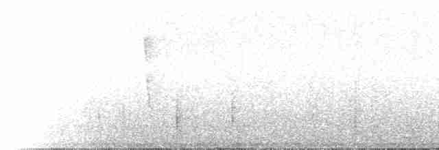 Kızıl Kaşlı Koca Vireo (insularis) - ML217576