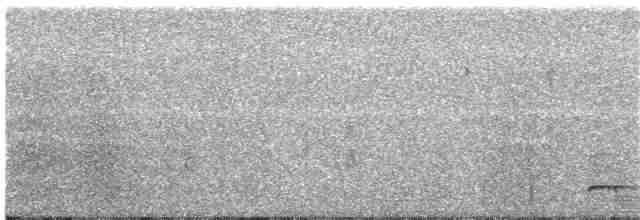 Сичик-горобець світлоголовий - ML21759231