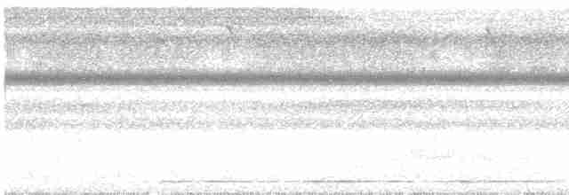 Южноамериканский лапчатоног - ML217627961
