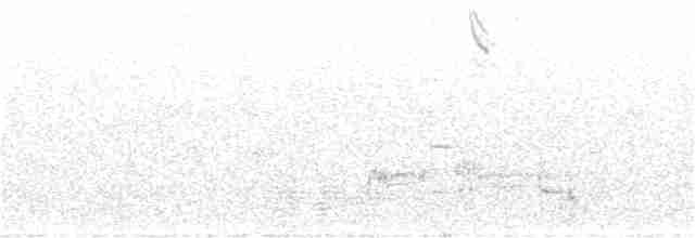 Кактусовый крапивник - ML217771271
