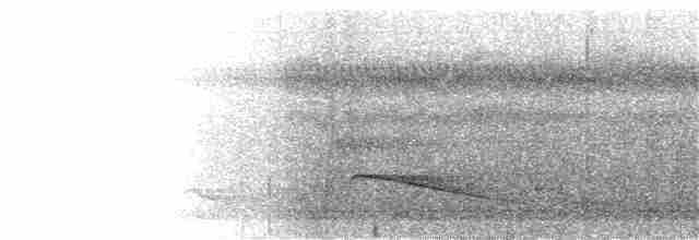 Dusky-tailed Flatbill - ML217785551