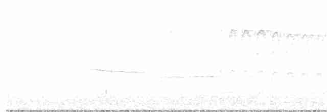 Dunenspecht (pubescens/medianus) - ML217787291
