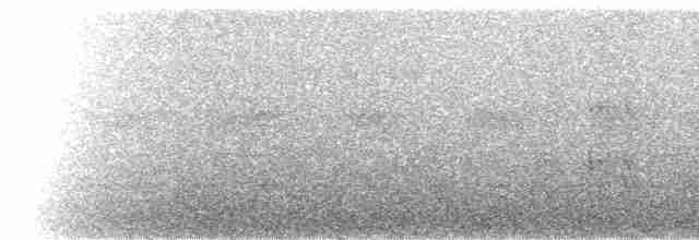 Kara Karınlı Sincap Guguğu - ML217840