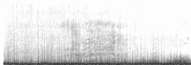裏海燕鷗 - ML217843541