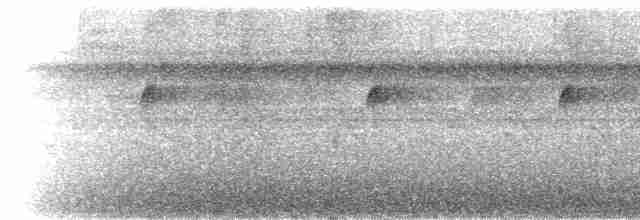 Epaulet Oriole (Moriche) - ML217844