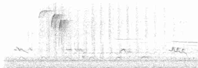 vlhovec červenokřídlý [skupina phoeniceus] - ML217850211