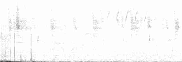 Tinamou des Andes - ML217888311