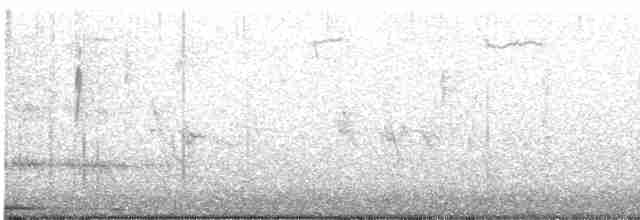 Eurasian Collared-Dove - ML217896981