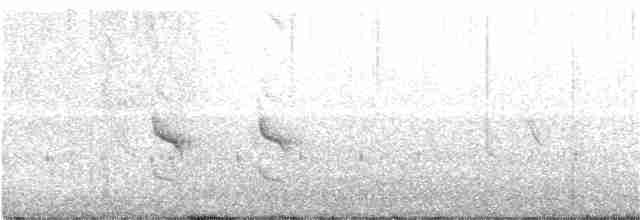 Mérulaxe de Tschudi - ML217898971