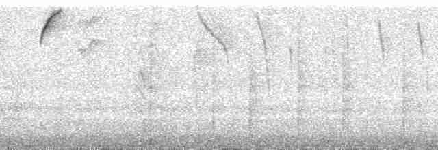 Tangara capucin (rubrirostris) - ML21791