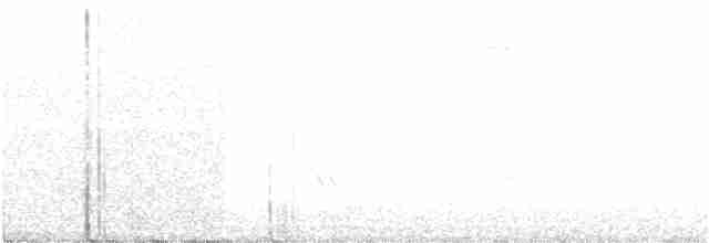 Сичик-горобець болівійський - ML217934941