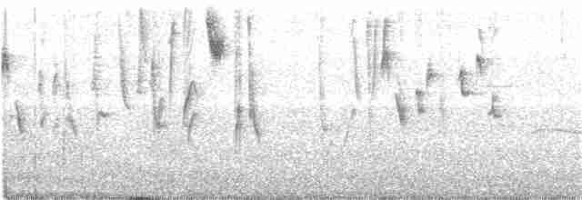 Conirostre géant - ML217953791