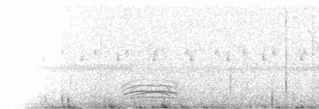 Белокрылый крапивник - ML217963