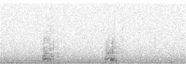 疣鼻天鵝 - ML217964291