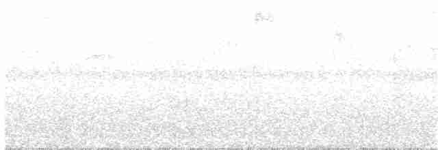 Ширококрылый канюк (platypterus) - ML217970621