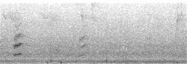 Амазон-карлик червонолобий - ML217983131