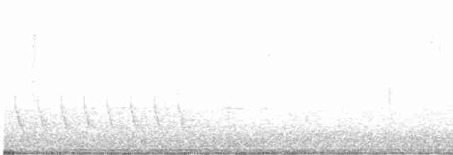 hvitbrynsvartspett - ML218002721