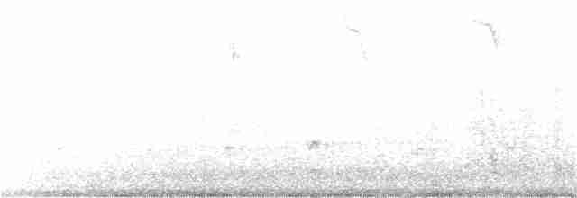 hvitbrynsvartspett - ML218002771