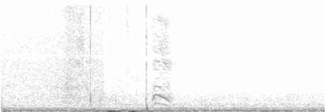 Hartlaubdrosselhäherling - ML218003051