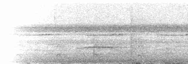 Якамара жовтодзьоба (підвид chalcocephala) - ML218037