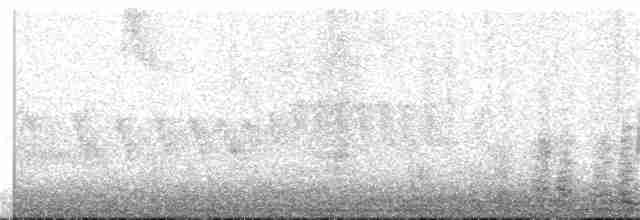 Black-crested Warbler - ML218056801
