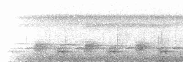 Black-tailed Trogon (Black-tailed) - ML218057