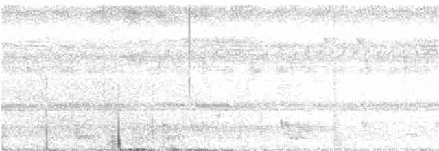 Large-tailed Nightjar - ML218096421