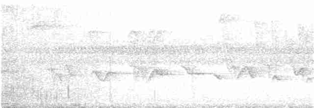 Буруанская мухоловка - ML218108861