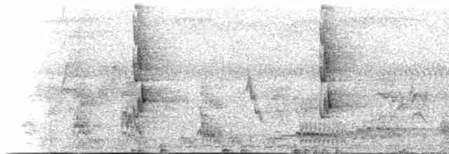 ML218126 visualization