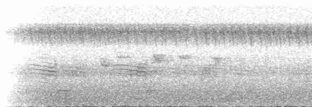 kukačka pískavá [skupina variolosus] - ML218141