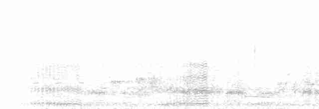 Blaustirnamazone - ML218202