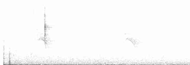 Black-throated Gray Warbler - ML218242511