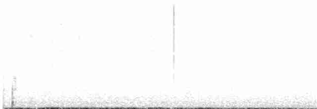 Black-throated Gray Warbler - ML218242561