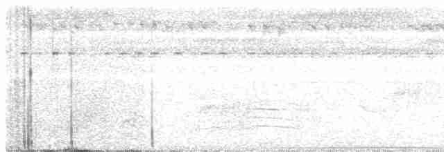 Wallacean Whistler - ML218255771
