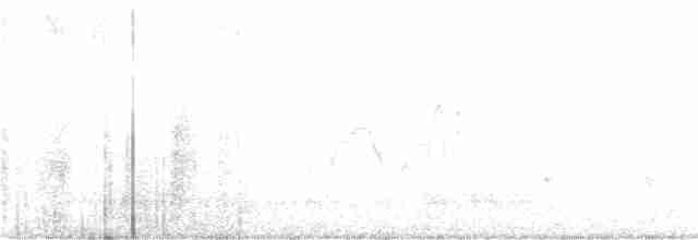 גיבתונית רוננת - ML218258161