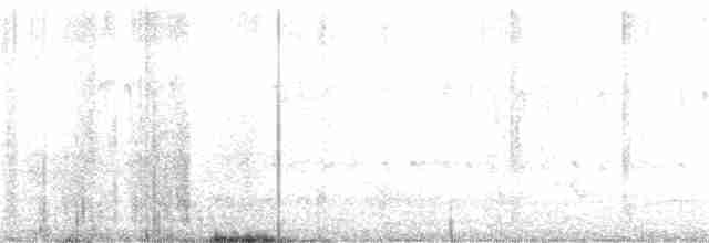 Weißbrustkleiber - ML218267221