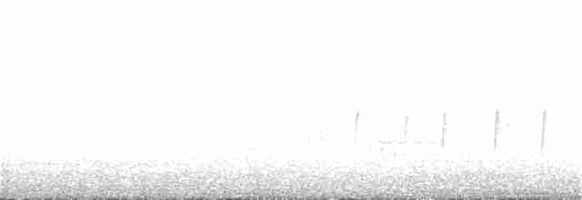 Pale-naped Brushfinch - ML218286561