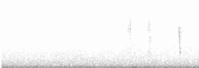 White-eyed Vireo - ML218297381