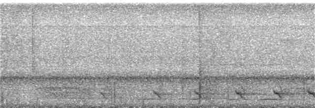 Trogón de Baird - ML218331611