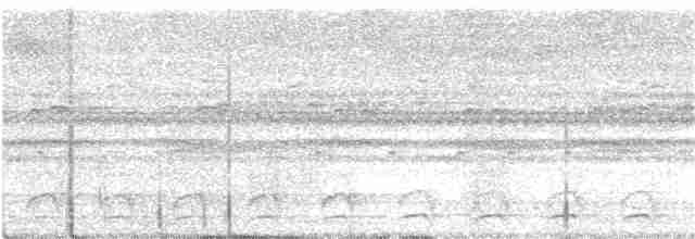 Ninoxe pointillée - ML218331891