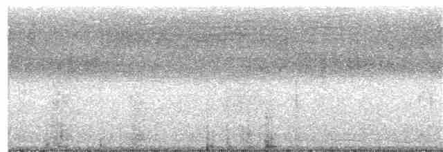 Бурый павлиний фазан - ML218390061