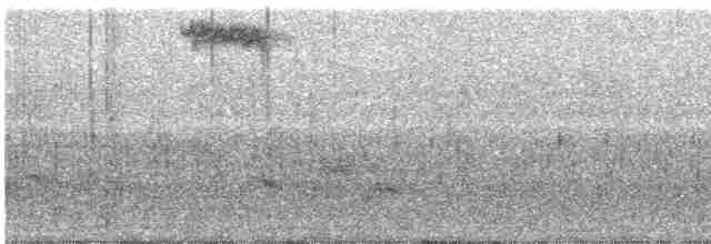Black-breasted Thrush - ML218396291